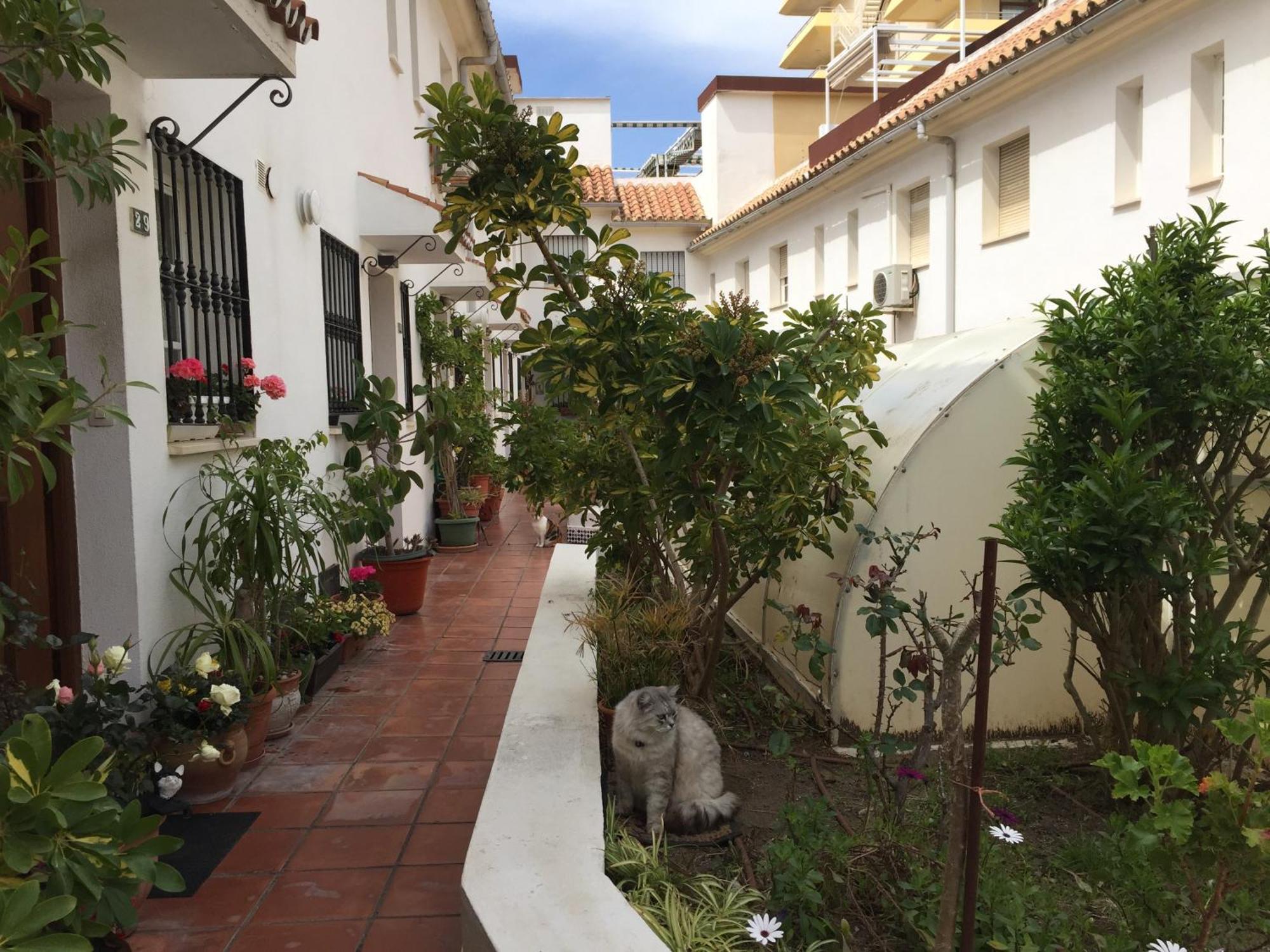 El Cortijuelo. Magnificent Triplex Terraced House With Rooftop Of 18M2, Overlooking The Sea. Parking Torremolinos Zewnętrze zdjęcie